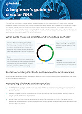 Rna Circulation Method Custom Circular RNA Synthesis | GenScript