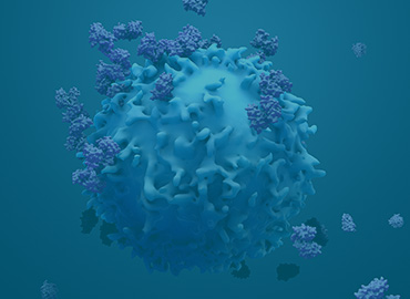  Immunotherapeutic Target Cell Lines