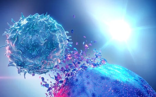 NK Cells