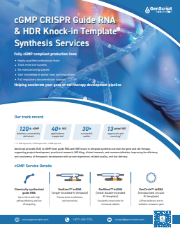 CRISPR gRNA Plasmids
