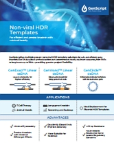 Non-viral HDR Templates Flyer