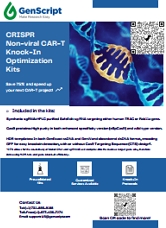 CRISPR Non-viral CAR-T Knock-In Optimization Kits