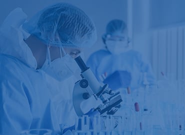 Rabbit Monoclonal Antibodies