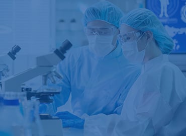 Rabbit Monoclonal Antibodies