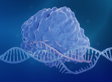 Synthetic CRISPR sgRNA
