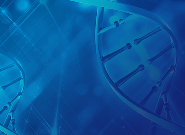Rabbit Monoclonal Antibodies