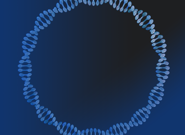 Rabbit Monoclonal Antibodies