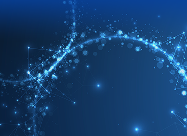 Rabbit Monoclonal Antibodies