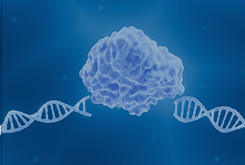 Synthetic CRISPR sgRNA