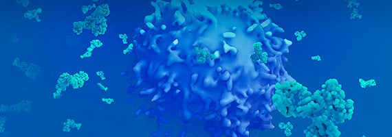 Antibody Development and Production