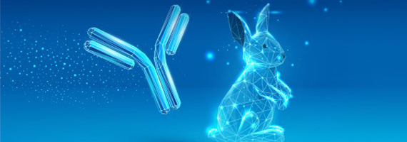 MonoRab™ Antibody Development