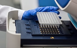 Residual DNase detection
