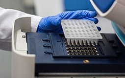 Residual RNase detection 