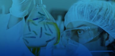 Custom GMP-Grade Bacterial Protein Expression
