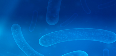 Customized BacPower™ Bacterial Protein Expression