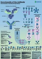 Encyclopedia of Antibody
