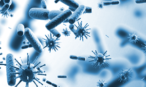Engineering E. coli to Fight Viral Infections