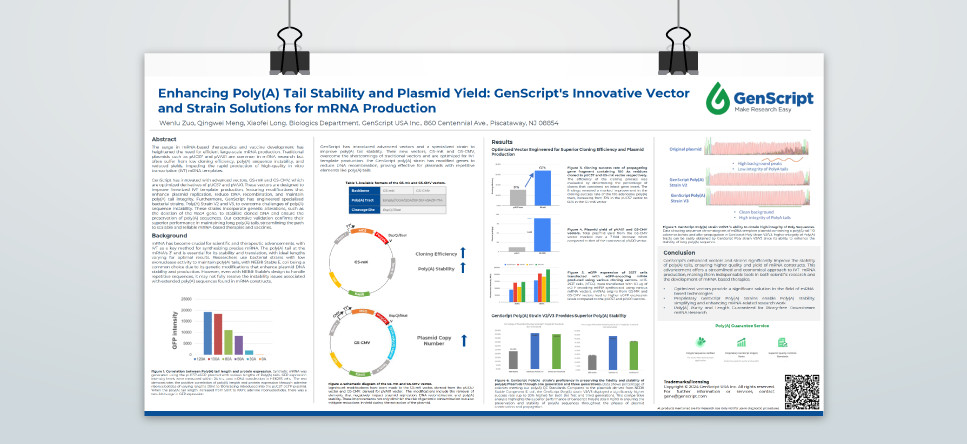 Enhancing Poly(A) Tail Stability and Plasmid Yield: GenScript's Innovative Vector and Strain Solutions for mRNA Production