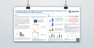 Poster：Enhancing Poly(A) Tail Stability and Plasmid Yield: GenScript's Innovative Vector and Strain Solutions for mRNA Production