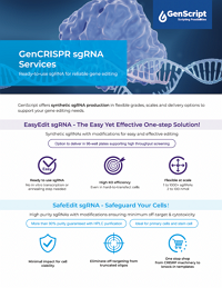 CRISPR_sgRNA