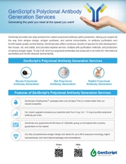 Polyclonal Antibody Service