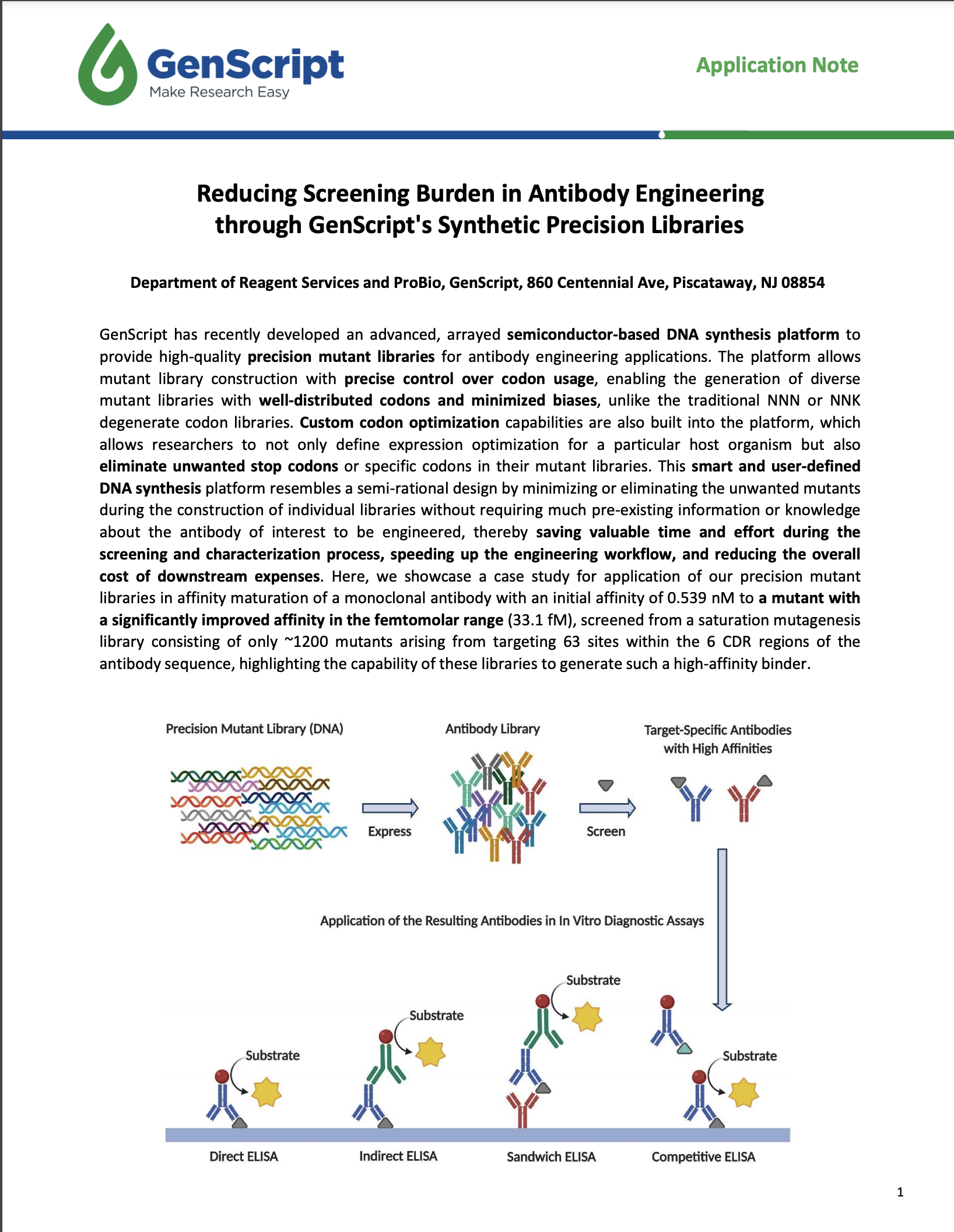 CRISPR/Cas9 gRNA Vector