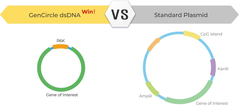 GenCircle dsNDA vs standard plasmid