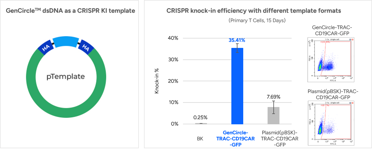 GenCircle™ Double-Stranded DNA | GenScript