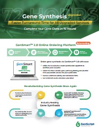 industrial grade plasmid flyer