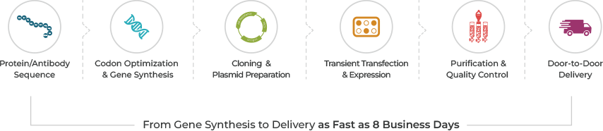 General Workflow
