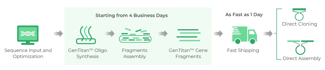 GenTitan™ Gene Fragments