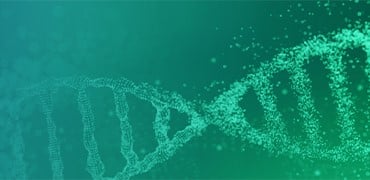 Cell-Free mRNA Template