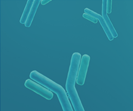 Antibody Services
  
