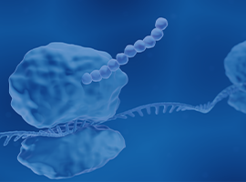IVT RNA Services