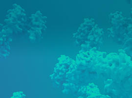Protein Expression