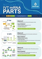 mRNA Parts_Infographic