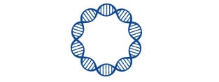 GenCircle dsDNA