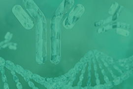 BARD1 Antibody Service