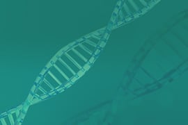 BARD1 Mutant Clones