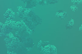 BARD1 Protein Expression