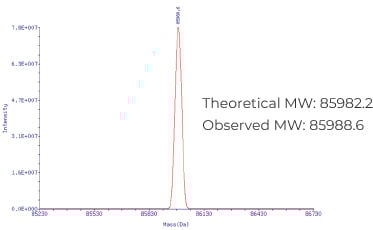 HPLC purified pegRNA (266 nt): Precise molecular weight