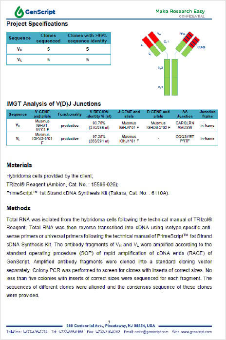 Typical sequencing report for Sanger