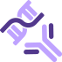 Recombinant mAb expression