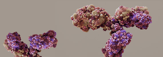 Antibody Drug Discovery Solution
