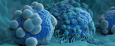 In Vitro Evaluation of CAR-TCR Expression