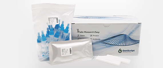 SARS-CoV-2 Antigen Rapid Test