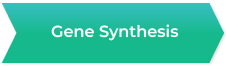 Gene Synthesis
