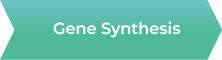 Gene Synthesis