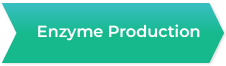 Enzyme Production