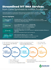 IVT mRNA Service Flyer